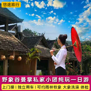 西双版纳野象谷曼掌村一日游私家团可约雨林牧象大象洗澡大象体检