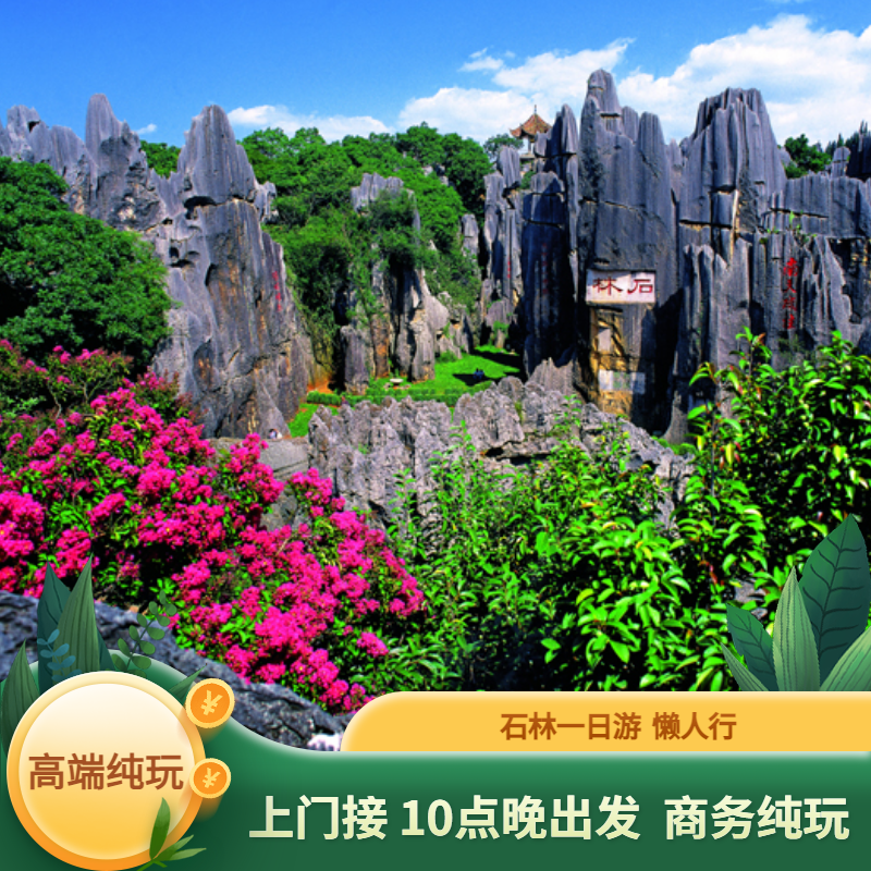云南旅游昆明周边石林风景区一日游纯玩专线晚出发商务小团上门接
