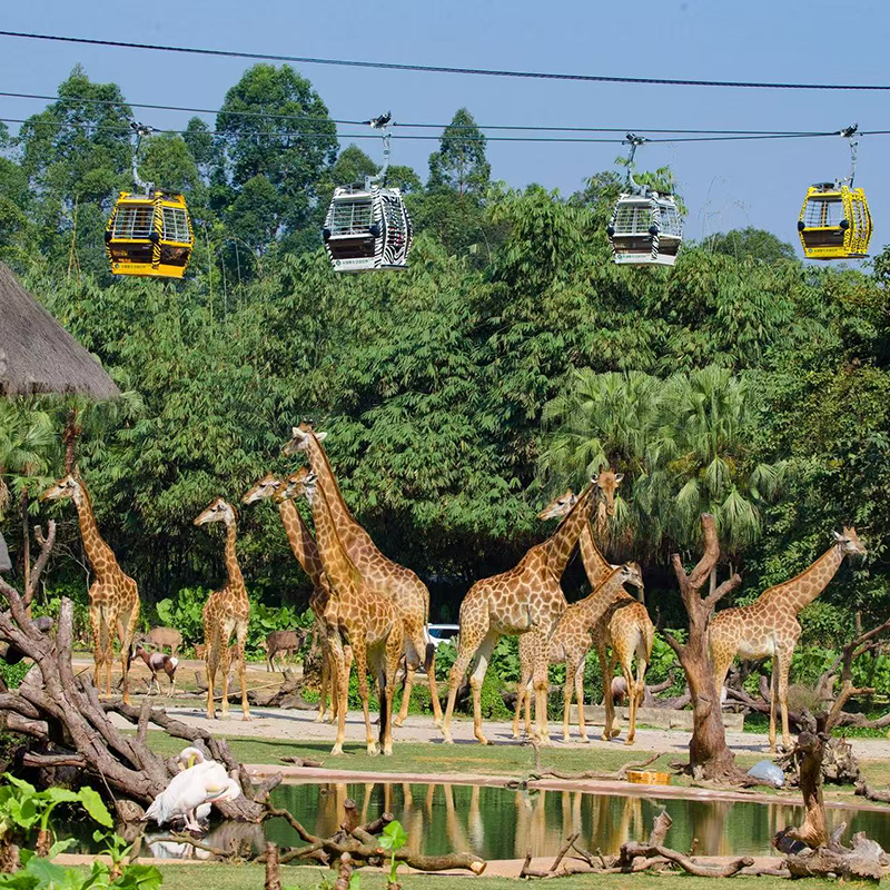 入住期间无限畅玩海洋王国或飞船乐园 含酒店早餐+免费享升一级房型 寒假适用 超长适用期至26.2.28 酒店住客专享 提前1小时入园