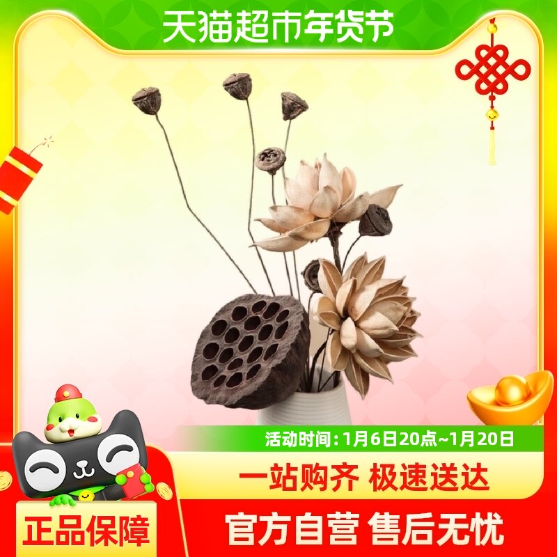 ��Ȼ�ɻ���ɻ�����֧�ڼ�ins������ɻ��Ҿ�װ��Ʒ������Ӱ����