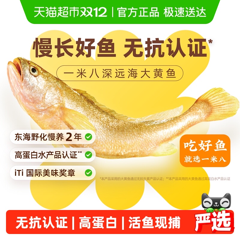1米8大黄鱼无抗