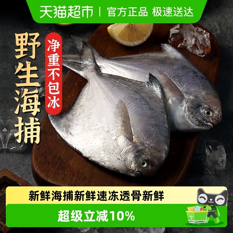 遇上鲜银鲳鱼新鲜冷冻舟山海鲜昌扁鱼鲜活速冻水产平鱼大白鲳鱼