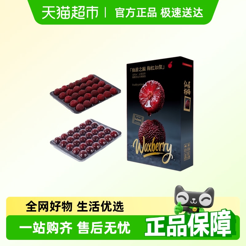 正宗仙居东魁杨梅大果