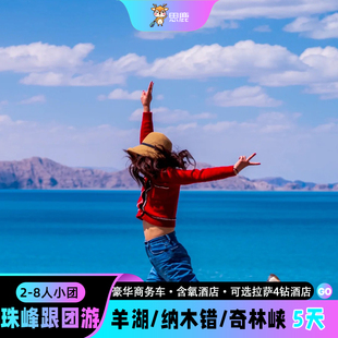 西藏拉萨旅游珠峰东坡羊湖纳木措奇林峡5天4晚含氧跟团五日游