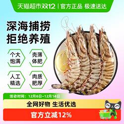 遇上鲜舟山竹节虾九节虾新鲜速冻大海虾斑节虾非鲜活黑虎虾基围虾