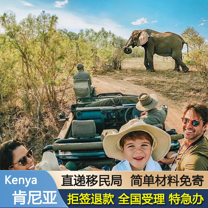 肯尼亚签证简化办理个人旅游商务电子签证特加急办理内罗毕东非三国签证