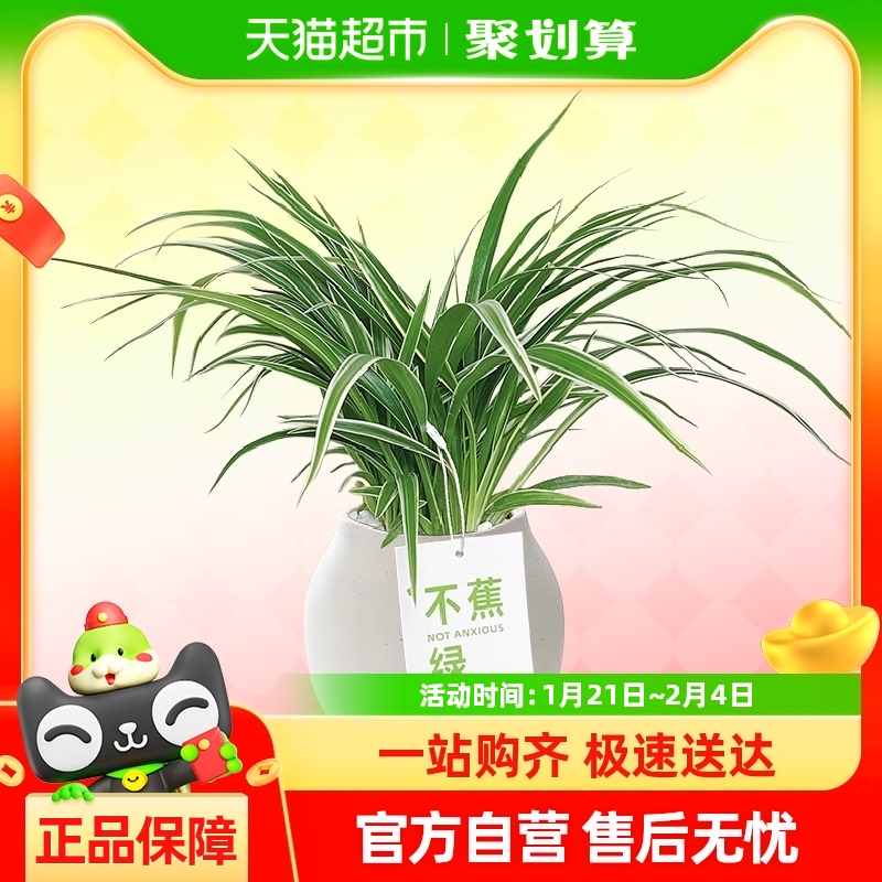 Сֲֲļڲ輸29.26Ԫ(88VIP 95)