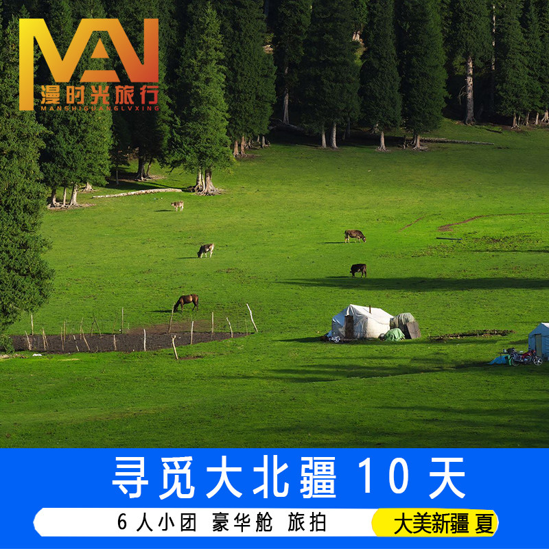 2-6人小拼团夏游新疆旅游伊宁那拉提世界魔鬼城赛里木湖独库10天