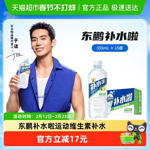东鹏补水啦电解质水维生素饮料整箱15瓶柠檬味补充盐类水分
