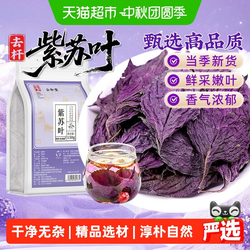 云南曲靖新鲜采摘紫苏叶图片