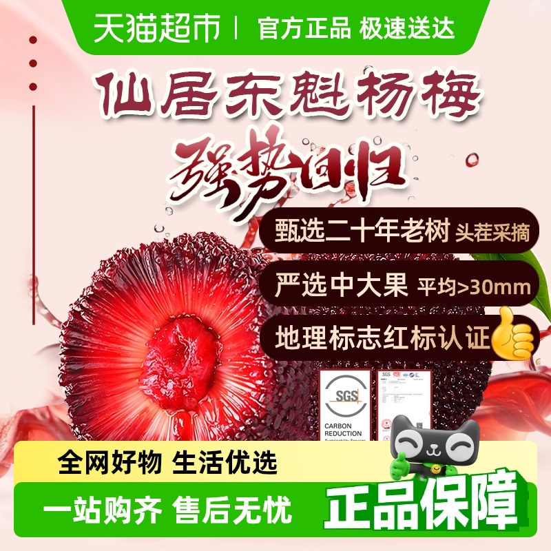 现货不用等速发东魁杨梅仙居杨梅甄选核心产区直发正宗整箱礼盒