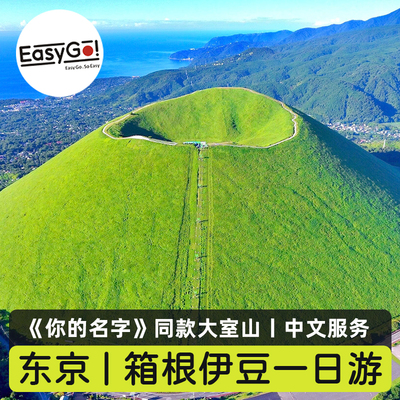 Easygo日本旅游伊豆大室山抹茶山城崎海岸箱根神社一日游东京出发