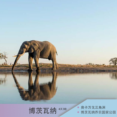 博茨瓦纳4天3晚惊艳之旅（乔贝国家公园+奥卡万戈三角洲）