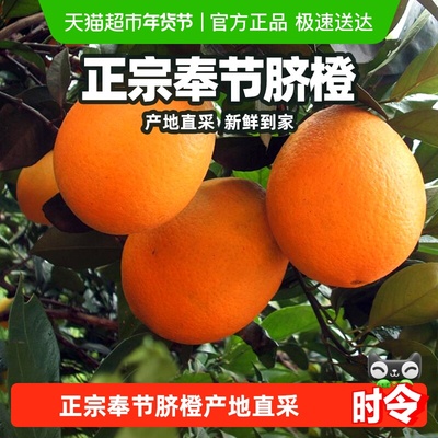 柠满园正宗重庆奉节脐橙产地直采
