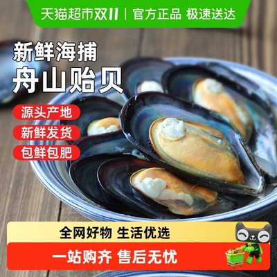 遇上鲜新鲜非特大海虹海鲜