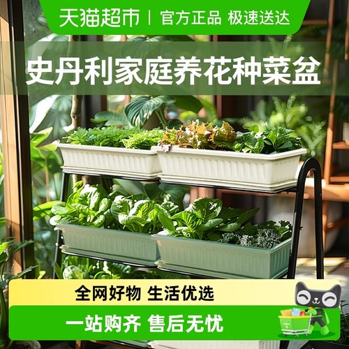 史丹利阳台种菜盆长方形花盆