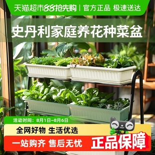 阳台种菜盆长方形花盆家庭种菜神器特大蔬菜种植箱室内长条槽盆栽
