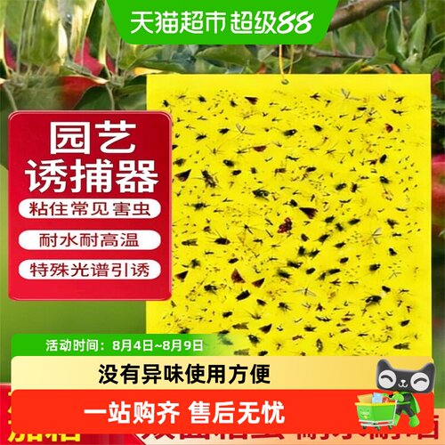 德沃多双面粘虫板光学吸引