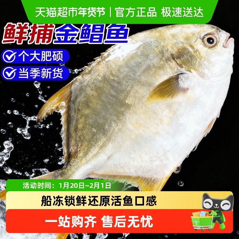 海仙部落青岛特大金鲳鱼新鲜冷冻海鱼金昌鱼平鱼银鱼白鲳鳊鱼冰鲜,水产肉类/新鲜蔬果/熟食,鲳鱼,淘宝优惠券,粉丝福利购,淘宝优惠卷