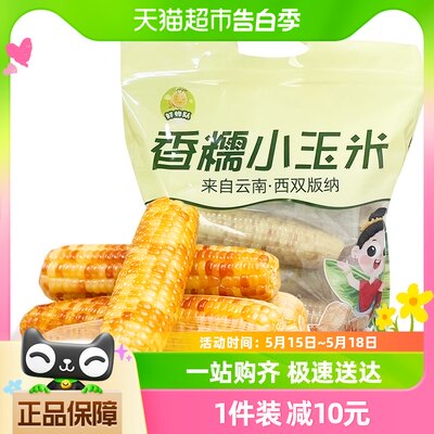 西双版纳香糯小玉米1kg×1箱包邮