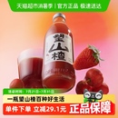 随机 好望水果汁气泡水望山楂汁碳酸饮料草本健康解腻包装