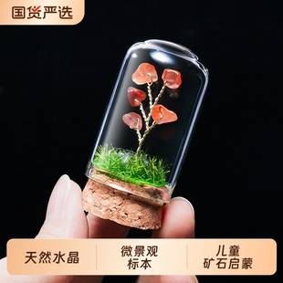 天然水晶发财树招财树摆件原石岩石玛瑙宝石矿石微景观儿童标本