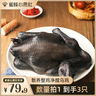 整只農家散養烏骨雞950g散養整雞凈膛烏雞 蜜蜂心愿社