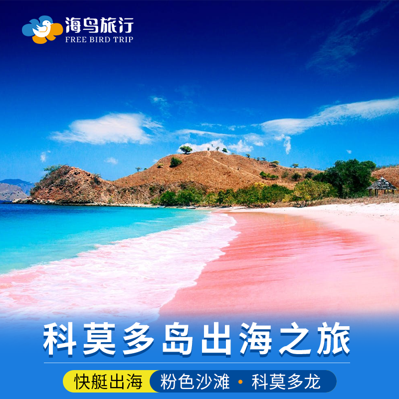 科莫多岛一日游粉红沙滩浮潜帕达尔岛魔鬼鱼大蜥蜴龙出海旅游