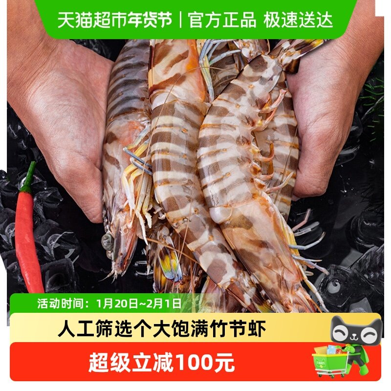 九节虾斑节虾超大竹节虾特大基围虾鲜活速冻大虾海鲜黑虎虾鲜虾,水产肉类/新鲜蔬果/熟食,冻虾,淘宝优惠券,粉丝福利购,淘宝优惠卷