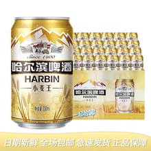 哈尔滨小麦王啤酒330ml×24罐整箱原箱发货新鲜啤酒清爽口感畅饮