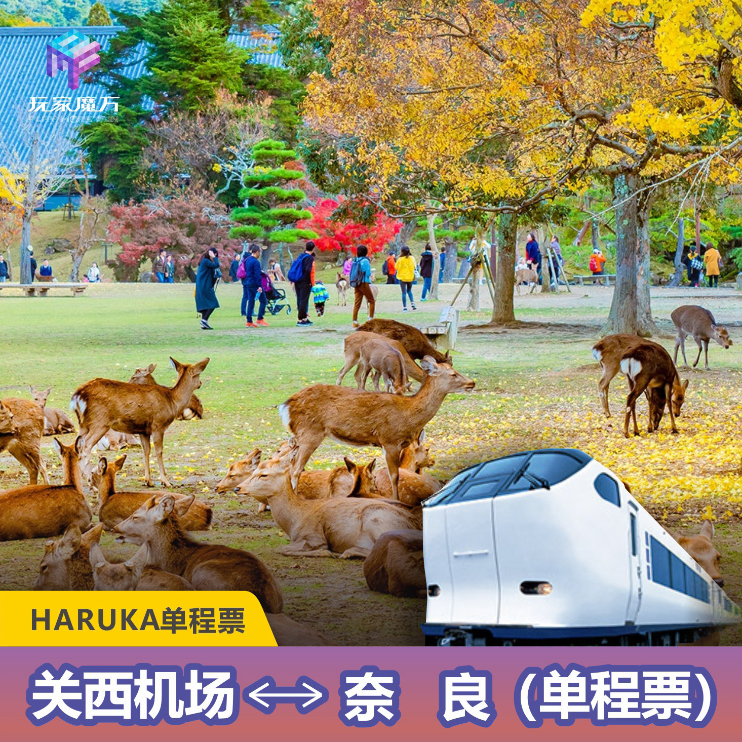HARUKA 日本大阪关西机场往返奈良单程票 JRPASS 电子票