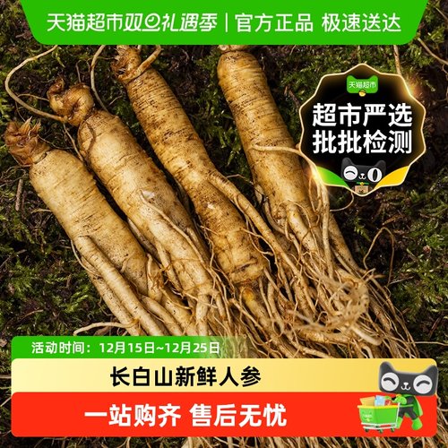 玲珑岭新鲜人参整根长白山非干货