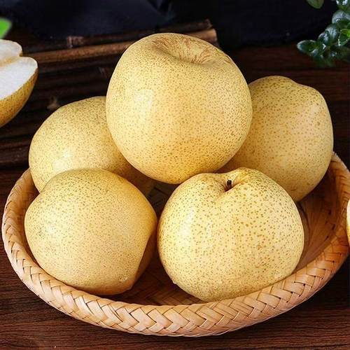 正宗砀山梨10斤安徽梨子新鲜水果应当季整箱包邮脆甜雪梨