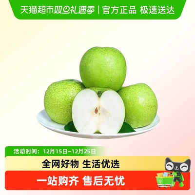 砀山青梨梨子新鲜水果