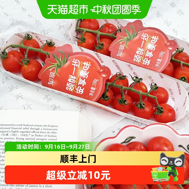 知翠熊蜂授粉小番茄198g*4盒
