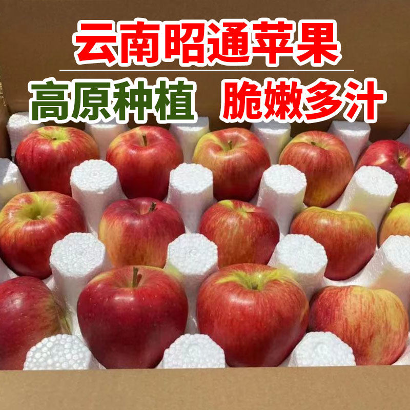 2025头茬鲜果现摘当季云南昭通野生丑苹果冰糖心苹果水果新鲜脆甜,水产肉类/新鲜蔬果/熟食,苹果,淘宝优惠券,粉丝福利购,淘宝优惠卷