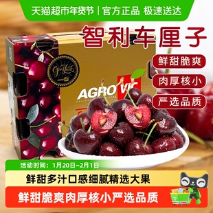 【多仓就近现货发货】智利进口车厘子4J级大果原箱礼盒装应季樱桃