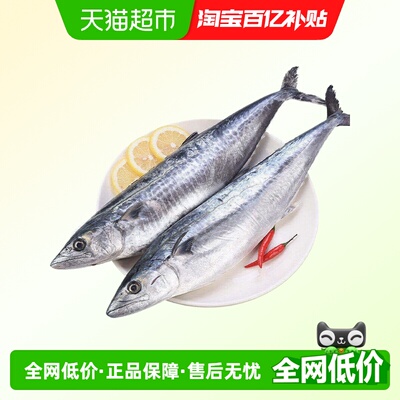 云储生活鲅鱼新鲜冷冻整条特大