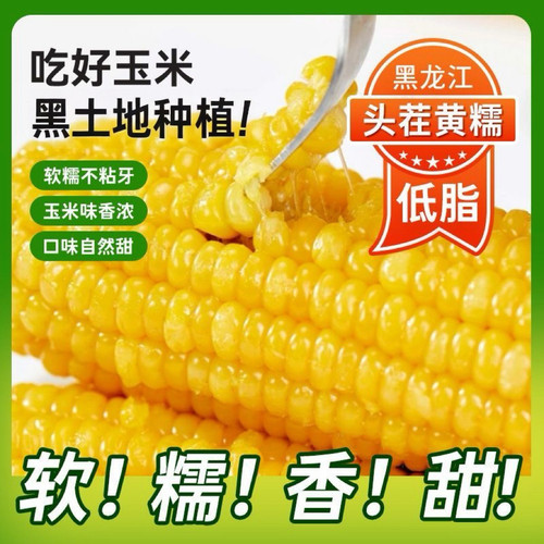正宗东北新鲜黄糯玉米软糯拉丝独立真空包装寒地黑土一年一季