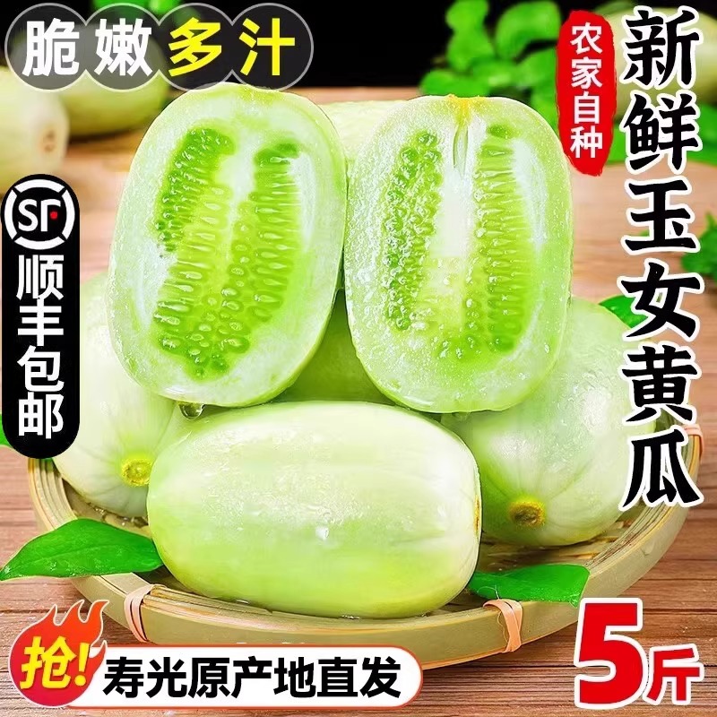顺丰包邮 寿光玉女黄瓜当季水果新鲜整箱现摘拇指黄瓜生吃自然熟
