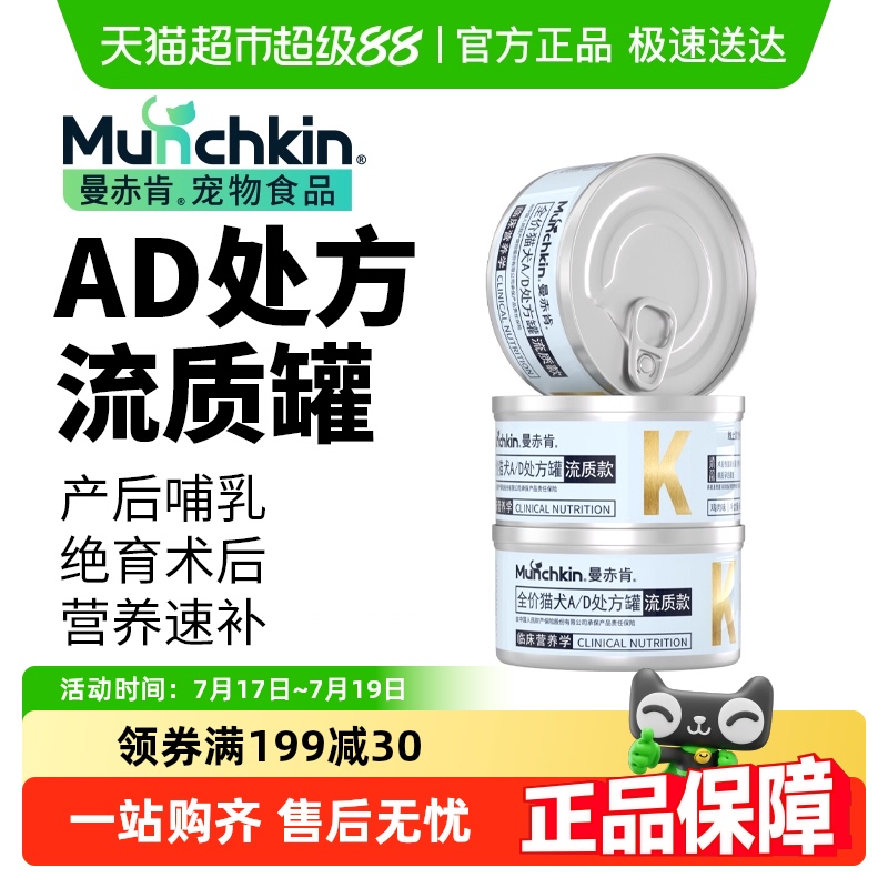 曼赤肯绝育术后恢复猫罐头