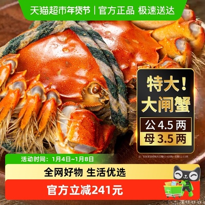 湖东蟹鲜活大闸蟹8只装