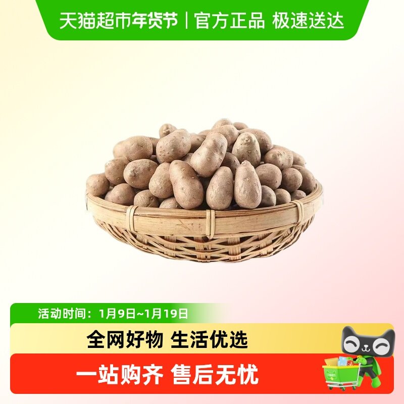 铁棍山药豆新鲜糖葫芦料河南焦作农家正宗宝宝辅食山药蛋种子