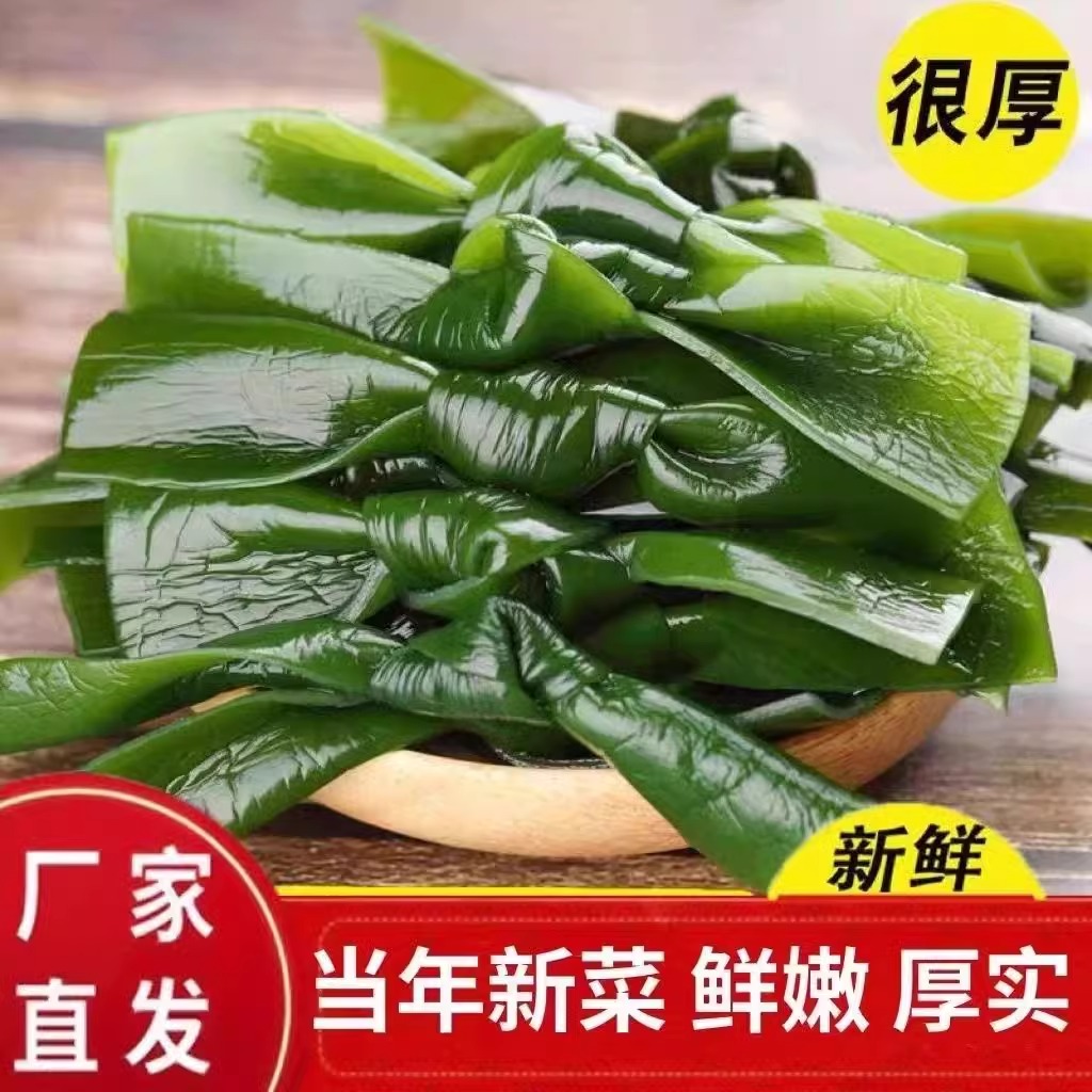 盐渍海带结非干货免切新鲜霞浦海带扣煲汤火锅凉拌关东煮商用批发