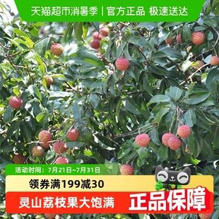 奥灵奇糖水荔枝罐头250g新鲜水果玻璃瓶装 休闲即食罐头网红小吃