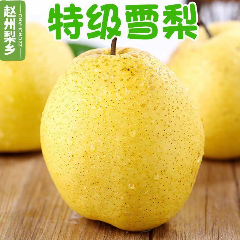 正宗河北雪梨新鲜雪花梨应季水果冰糖雪梨新鲜梨子批发非砀山梨