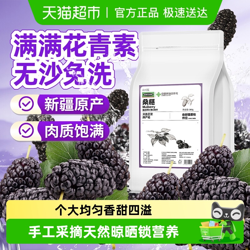 正宗新疆原产优质黑桑椹干粒大无沙中草药材新鲜干净即食泡水级特
