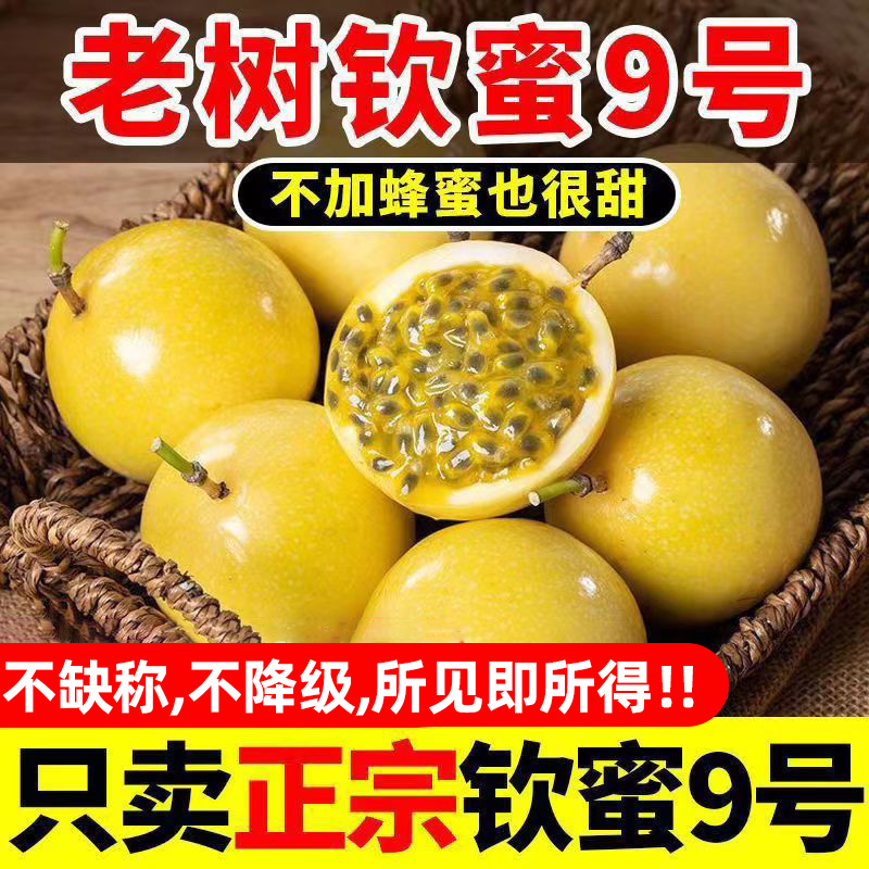 广西钦蜜9号新鲜黄金百香果净重3斤现摘当季水果整箱产地直发