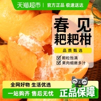 春見耙耙柑怡果樂四川水果新鮮