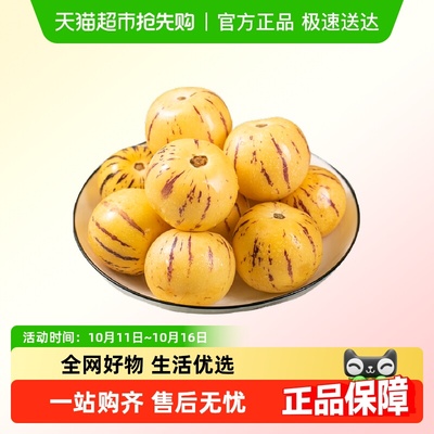 真圆果！石林人参果水润多汁